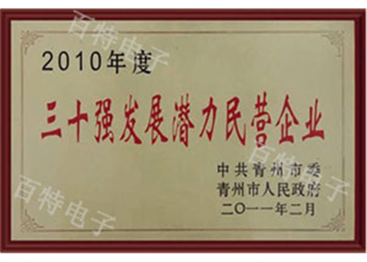 2010年度三十強(qiáng)發(fā)展?jié)摿γ駹I企業(yè)